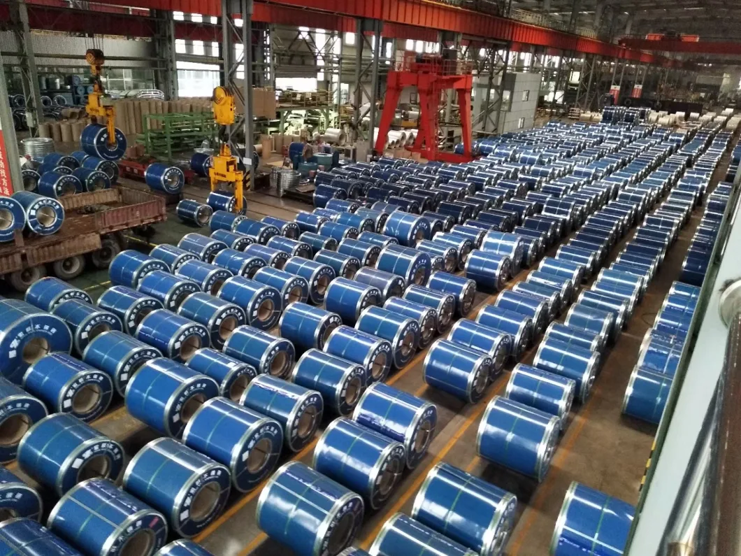 SGCC SPCC Dx51d DC01 G90 Z275 Cold Rolled Zinc Coated 0.6mm 0.8mm Iron Plate Gi Steel Sheet Hot Dipped Galvanized Coil for Constraction Material